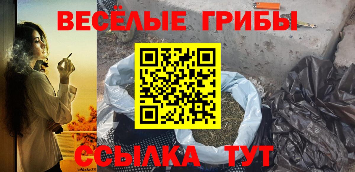 где найти наркотики  Галлюциногенные грибы MAGIC MUSHROOMS  Вход с VPN  Алексин  Псилоцибиновые грибы MAGIC MUSHROOMS 